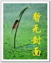 天价婚约笔趣阁