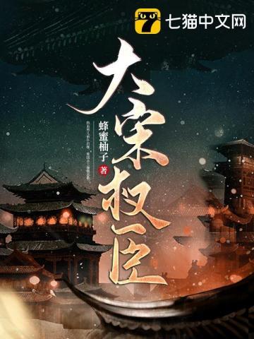 权掌大宋