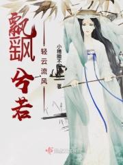 飘飖兮若流风之回雪.什么意思