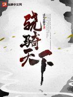 骁骑新书