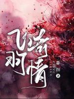 飞羽贴吧