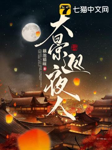 大景巡夜人在线听书