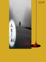 人生不再重来 插曲