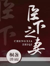 臣下之妻免费阅读无弹窗