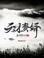 天才赘婿演员表