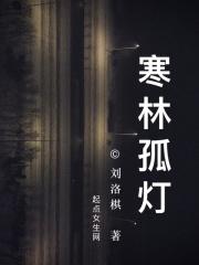 寒夜孤灯的诗词