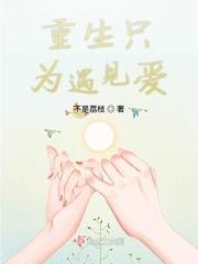 只为遇见你