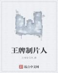 王牌制作人晋江