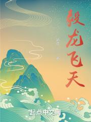 飞天龙翔酒53度
