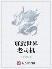 真武世界顶点无弹窗
