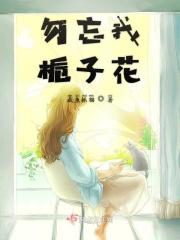 勿忘我花泡茶功效
