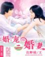 蜜汁娇妻甜甜甜txt百度