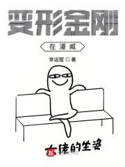 变形金刚漫威飞卢