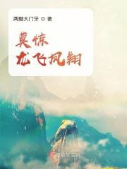 龙飞凤翔一般用在哪