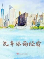沐雨血流离讲的什么