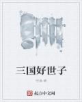 三国世子之争