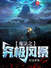 究极风暴是魔方做的吗