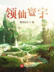 寰宇仙尊