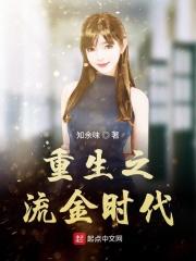 重生流金岁月陆风