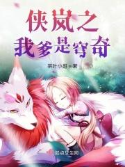 侠岚之最强