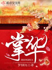 锦瑟忘流年