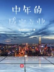 中年成就是什么意思