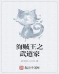 海贼王之武破虚空免费阅读