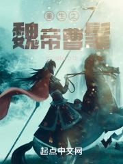 重生三国之曹魏权相