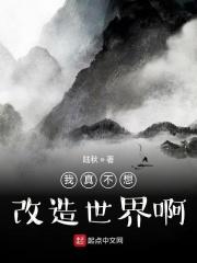 我真不想转换