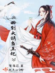 回到大明做王爷电视剧