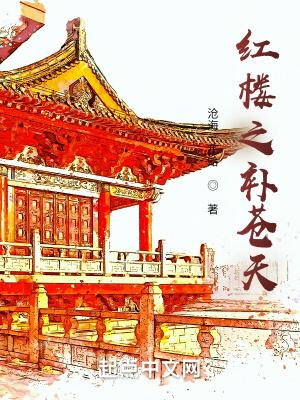 红楼之补苍天全文