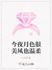 今夜月色很美风也温柔日语