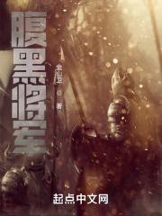腹黑将军的男宠又甜又撩
