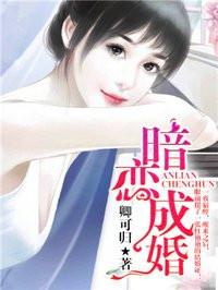 暗恋成婚书