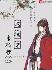 小狐狸老狐狸