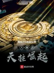 大秦之天柱崛起txt网