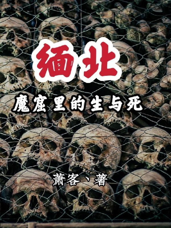 缅北之困