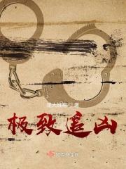 极致追凶顾晨结局