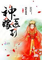 神医嫁到33