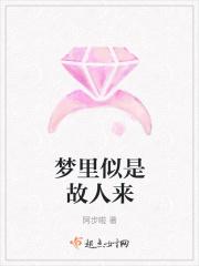 dj似是故人来