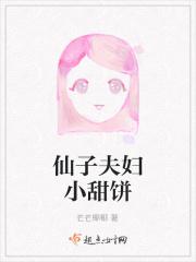 仙子夫妇 车