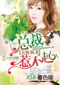 天价宠儿总裁的新妻全文