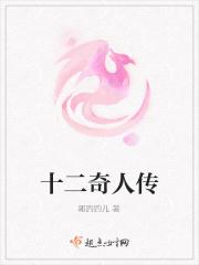 十二奇策是什么