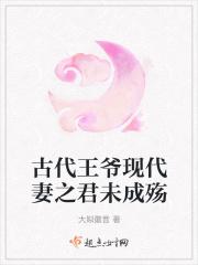 古代王爷现代妻之君未成殇的