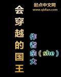 会穿越的国王佘大