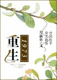 重生1973短剧在线播放