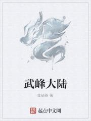 武峰经历