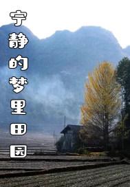 宁静的梦里田园电视剧