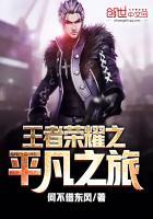 王者荣耀之王者之路