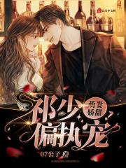 祁少的宠妻罪妻